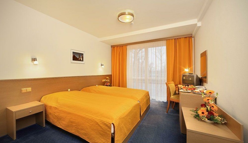 PARKHOTEL HLUBOKÁ NAD VLTAVOU Hluboká nad Vltavou - Dvoulůžkový